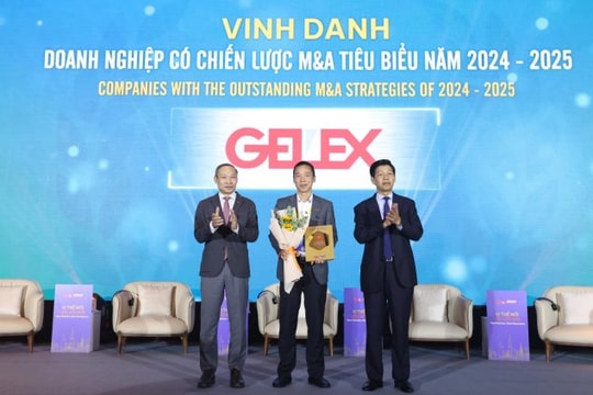 GELEX được vinh danh Doanh nghiệp có chiến lược M&A tiêu biểu 2024-2025
