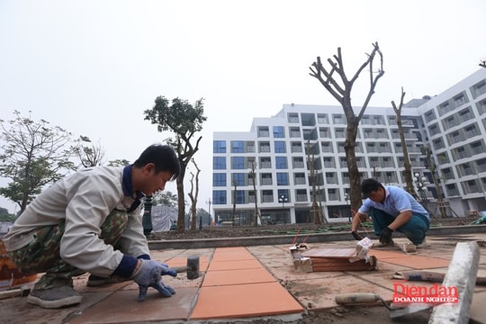Giải bài toán thiết kế, công nghệ, vật liệu trong phát triển nhà ở xã hội