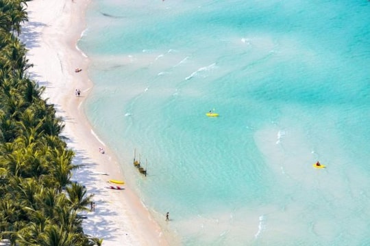 Vì sao Phú Quốc vươn lên thành điểm đến được khách quốc tế tìm kiếm nhiều nhất tại Việt Nam?