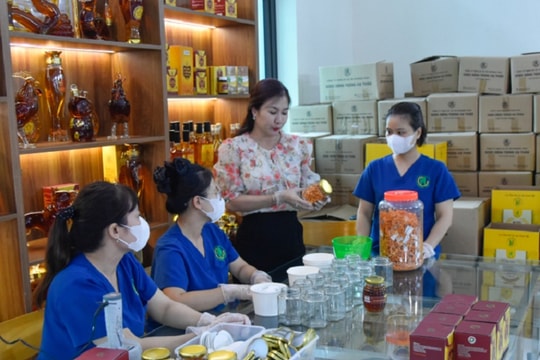 Quảng Ninh: "Cú hích" số hóa nâng tầm giá trị nông sản địa phương