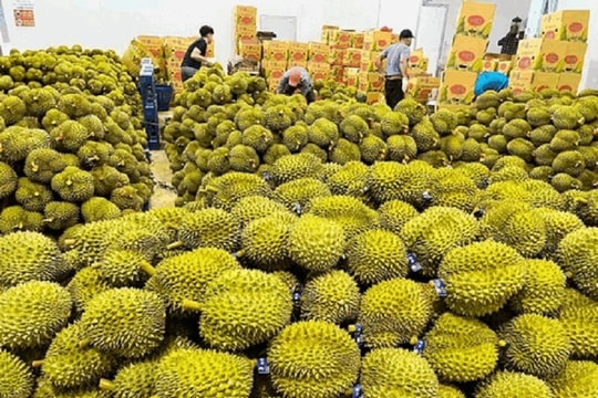 Nông nghiệp - "trụ đỡ" kinh tế bước vào kỷ nguyên tăng trưởng xanh