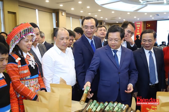 FESTIVAL KHỞI NGHIỆP 2025: Sắc màu gian hàng startup