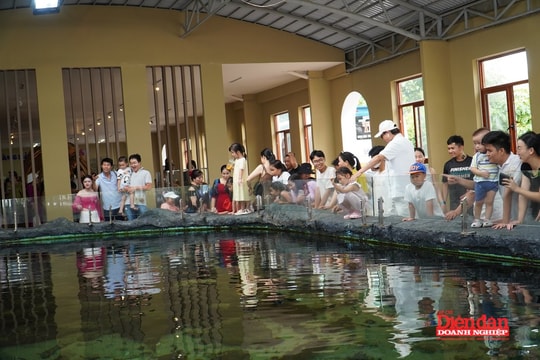 Phấn đấu đưa Khánh Hòa trở thành trung tâm du lịch quốc tế