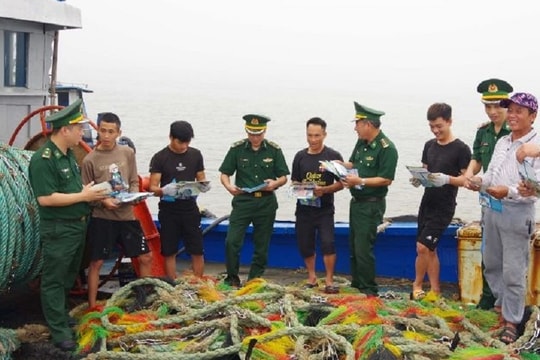 Gỡ "thẻ vàng" EC: Bước ngoặt để Ninh Bình phát triển kinh tế biển bền vững