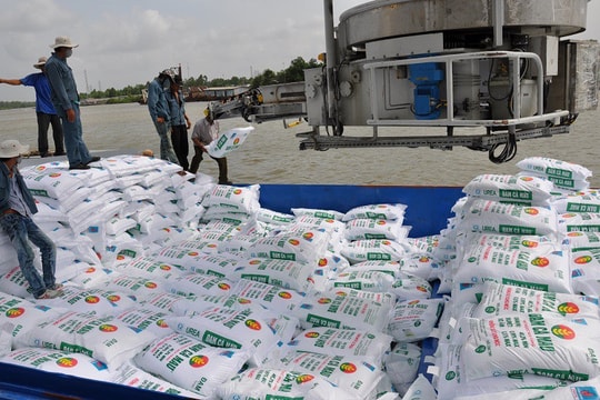 Xuất khẩu phân bón năm 2026 sẽ tiếp tục khả quan?