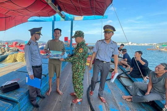 Quyết tâm gỡ thẻ vàng: Hải Phòng hành động vì một ngành cá trách nhiệm