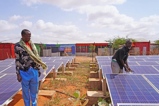 Kinh tế xanh châu Phi: Trung Quốc tìm kiếm điều gì?