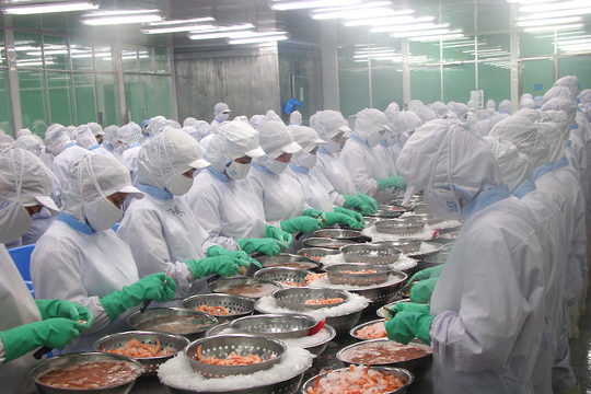 Ngành thủy sản đón “tin vui” lớn về thuế thu nhập doanh nghiệp