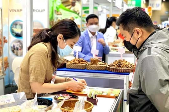 Xúc tiến thương mại chuyển động toàn diện, tạo lực đẩy tăng trưởng