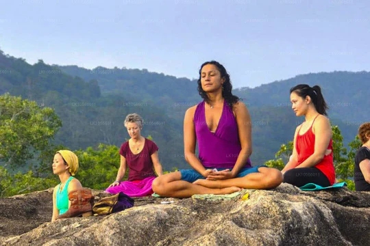 5 xu hướng du lịch 2026: tham chiếu cho Việt Nam