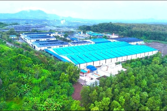 SDV đầu tư mạnh cho chuyển đổi xanh, nâng công suất Khu Quang Trung