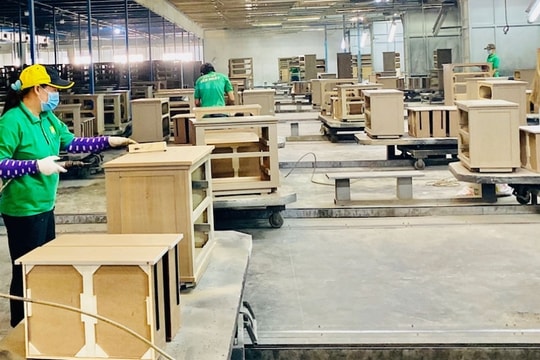 Quản trị hiện đại - "đòn bẩy" cho tăng trưởng lâm nghiệp bền vững