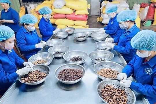 Hải quan - Doanh nghiệp: Khơi thông dòng chảy 6,5 tỷ USD qua Hưng Yên