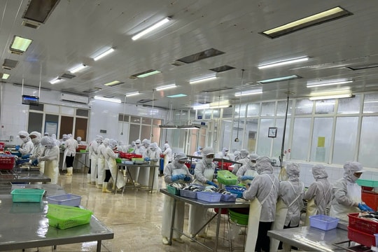 Quảng Ninh: Tạo môi trường thuận lợi để doanh nghiệp tư nhân mở rộng đầu tư