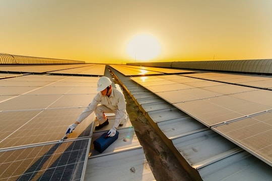 Hải Phòng đ ẩy nhanh tiến trình xanh hóa cho doanh nghiệp