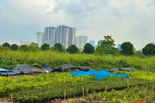 Bất động sản 2026: Loạt chính sách mới định hình chu kỳ phát triển mới