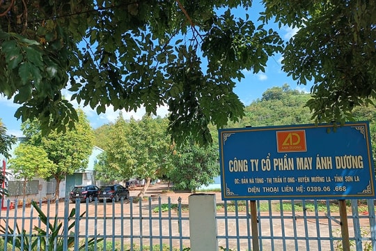 Vụ Công ty Ánh Dương Mường La kêu cứu: Có điều gì khuất tất?