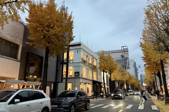 Du lịch Gangnam: Hương vị nồng nàn nơi góc phố quen