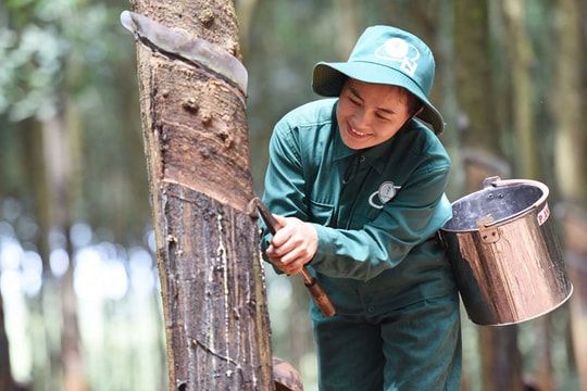 Dòng tiền đổ vào cổ phiếu Nhà nước dự kiến thoái vốn