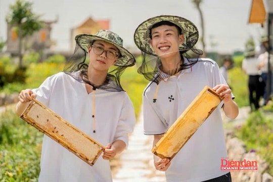 Cú hích phát triển du lịch sinh thái Hải Phòng