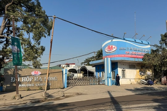 Từ hơn 120 tấn thịt lợn bệnh: Khi "lỗ hổng" kiểm soát đe dọa bàn ăn