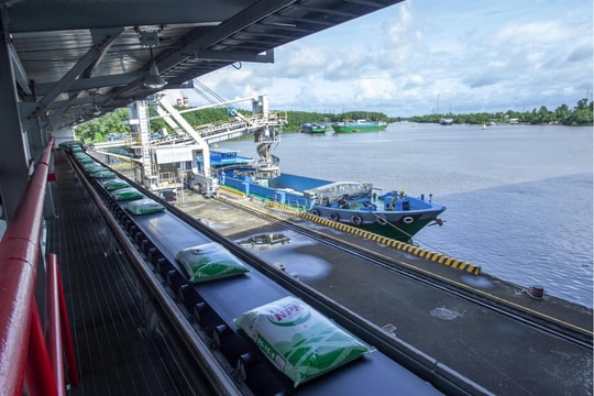 Phân bón Cà Mau 2025: Vượt “Gió ngược” nhờ năng lực nội sinh