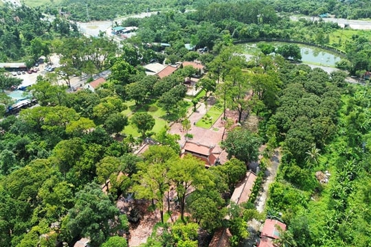 Hải Phòng: Phát triển du lịch xanh vì mục tiêu bền vững