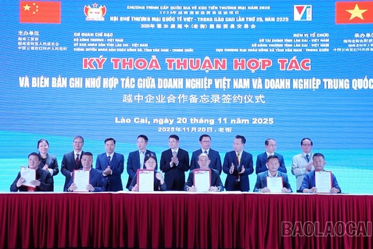 Lào Cai: Thu hút doanh nhân trẻ, startup tạo sức mạnh tổng hợp