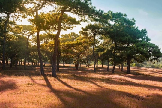 Gia Lai chấp thuận FLC là nhà đầu tư Dự án Sân golf Đak Đoa