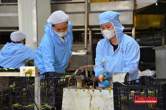 Gia Lai tìm thêm giải pháp “thúc” kinh tế tư nhân phát triển