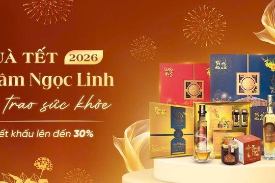 Quà sức khỏe từ Sâm Ngọc Linh: Lựa chọn của nhiều doanh nghiệp trong mùa Tết