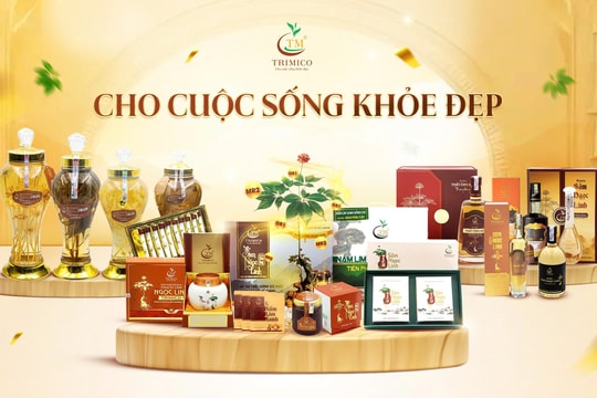 Doanh nghiệp Việt làm gì để sâm Ngọc Linh có “giá trị” thật?