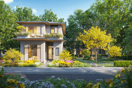 Rừng Mai: Mảnh ghép đầu tiên mở ra Mùa lễ hội tại Eco Retreat