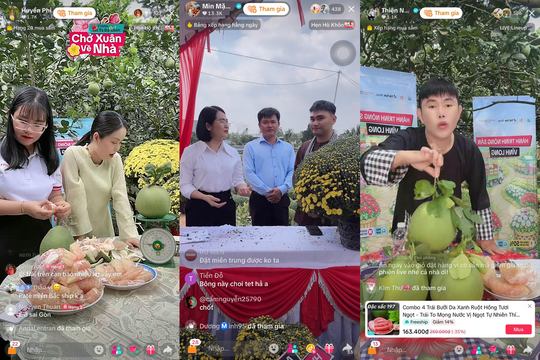 Vĩnh Long đẩy mạnh quảng bá nông sản Tết qua chương trình “Hành trình Nông sản – chở Xuân về nhà”