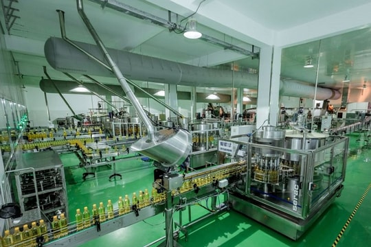 Kiến tạo "hệ sinh thái xanh" trong lĩnh vực công nghiệp chế biến, chế tạo