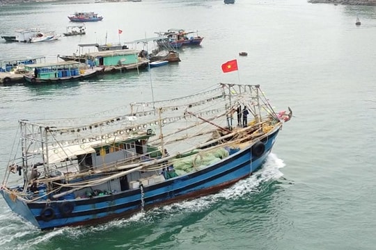 Quảng Ninh tạo điểm tựa vững chắc cho ngư dân bám biển