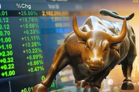Dẫn đầu thị phần môi giới, chứng khoán VPS hoạt động ra sao trong năm 2025?