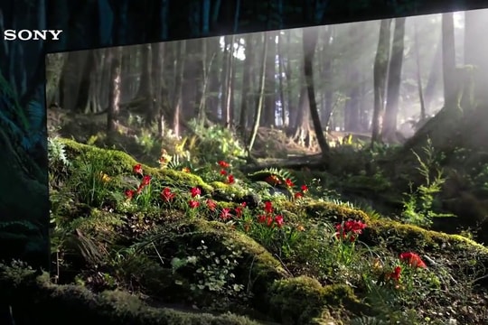 Ngành TV Nhật Bản dần “lịm tắt”