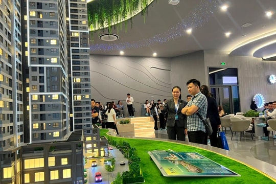 Định danh bất động sản không phải "liều thuốc" hạ giá