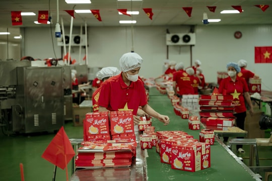 Omeli – Bảo Hưng: Minh chứng sống động cho bản lĩnh của doanh nghiệp Việt