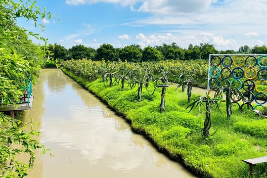 Cần Thơ nhiều điểm sáng phát triển hệ sinh thái khởi nghiệp đổi mới sáng tạo bền vững