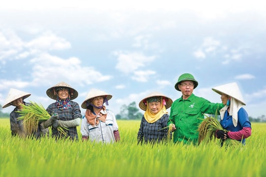 Bản hùng ca trên cánh đồng chữ S