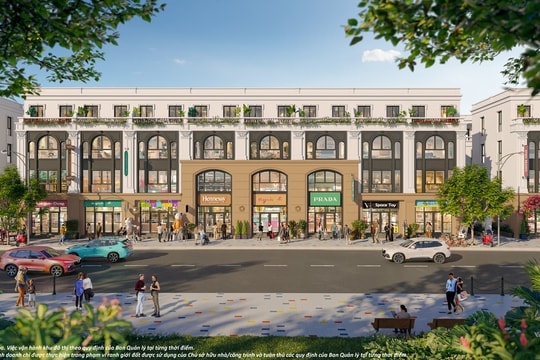 Nhà phố “best seller” 63m2 tại Vinhomes Golden City: Thấp tầng hạng sang dễ mua hơn căn hộ trung tâm