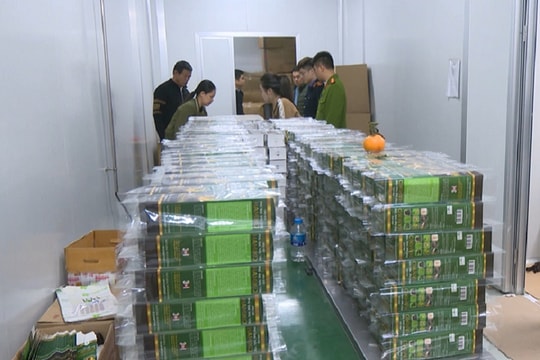 Cuộc chiến không khoan nhượng với hàng giả