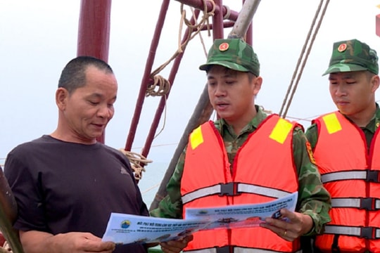 Quảng Ninh: Thực thi pháp luật nghiêm minh, không có "vùng cấm" trong xử lý vi phạm