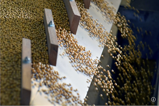 Thấy gì từ chính sách nông nghiệp mới của Trung Quốc?