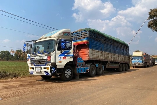 Thủ tướng chỉ đạo tháo gỡ vướng mắc trong triển khai Nghị định 46/2026/NĐ-CP về an toàn thực phẩm