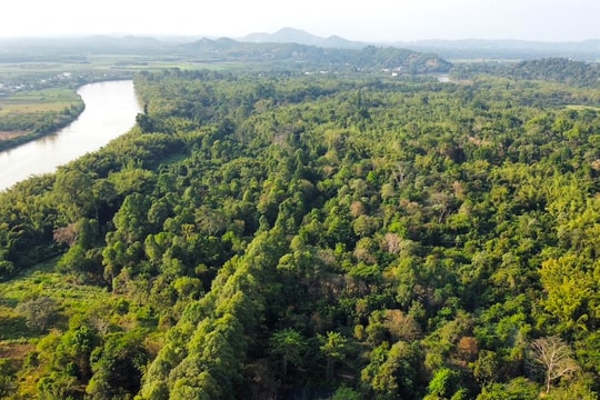 “Mỏ vàng xanh” mới khi thị trường carbon hình thành