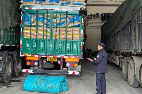 Ngành Hải quan đẩy nhanh thông quan thực phẩm nhập khẩu tồn đọng