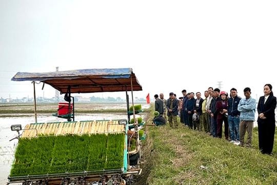 Ninh Bình: "Trải thảm đỏ" thu hút doanh nghiệp, kiến tạo nền nông nghiệp xanh bền vững